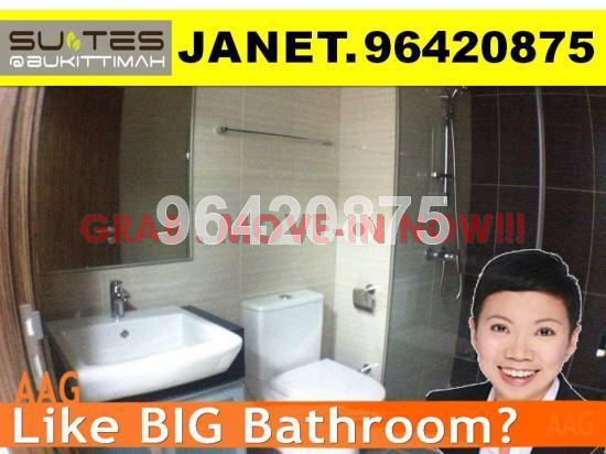 Suites @ Bukit Timah (D21), Apartment #38167462